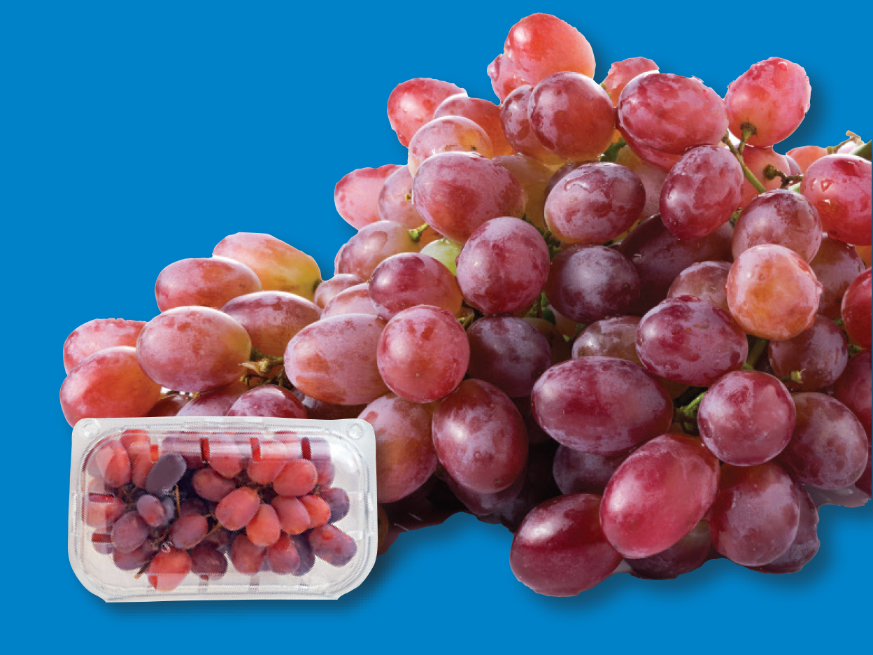 A large bunch of red grapes next to a clear plastic container of red grapes.