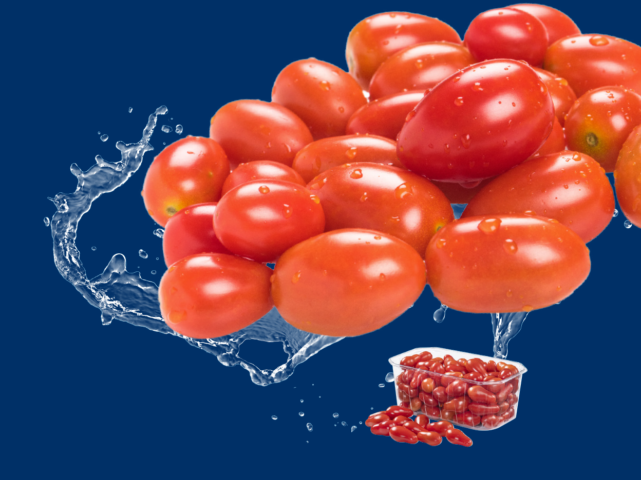 Fresh cherry tomatoes with water splashes and a container of tomatoes.