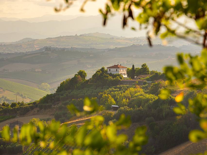 A house on a hill surrounded by vineyards and rolling hills under a hazy sky.