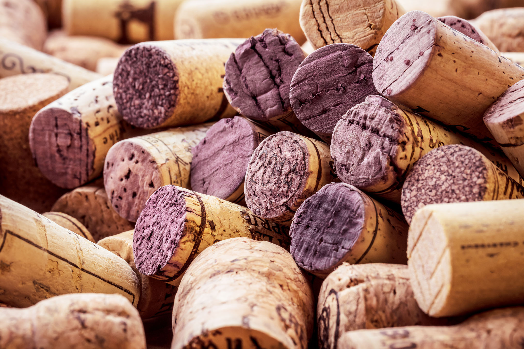 A close-up of a pile of used wine corks, many stained purple from red wine.