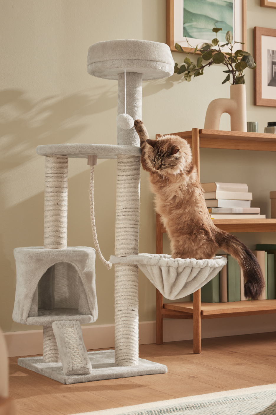 Μια χνουδωτή γάτα παίζει σε ένα πολυεπίπεδο ονυχοδρόμιο με στύλους ξυσίματος και αιώρα.