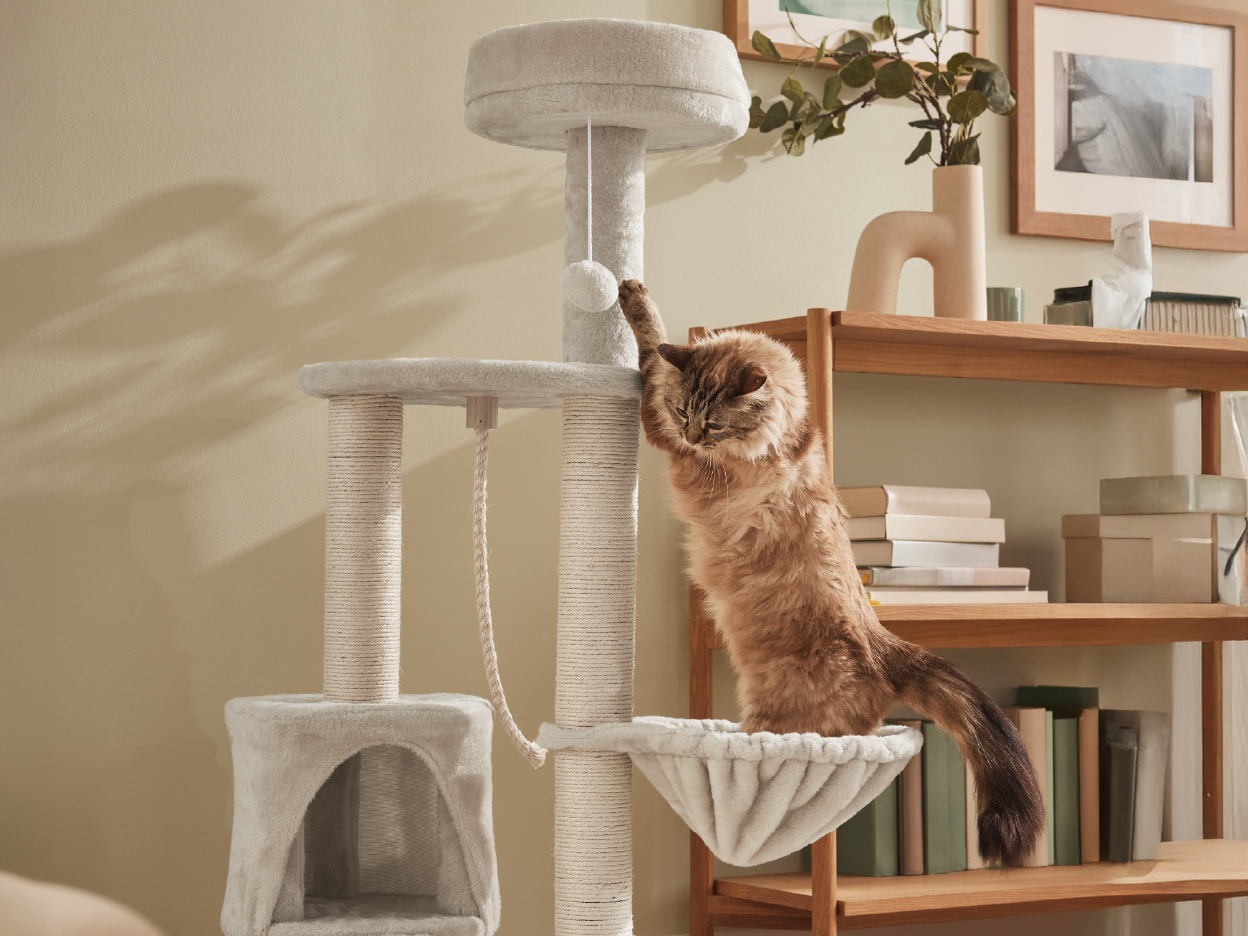 A cat playing on a tall gray cat tree with shelves and decor in the background.