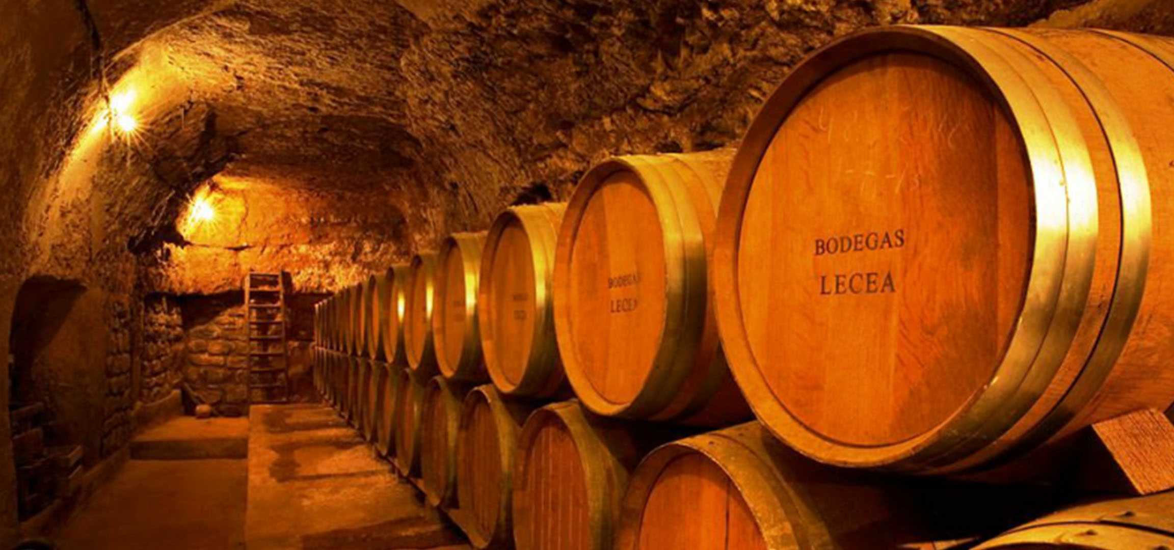 Wine cellar with wooden barrels, some labeled 'BODEGAS LECEA'