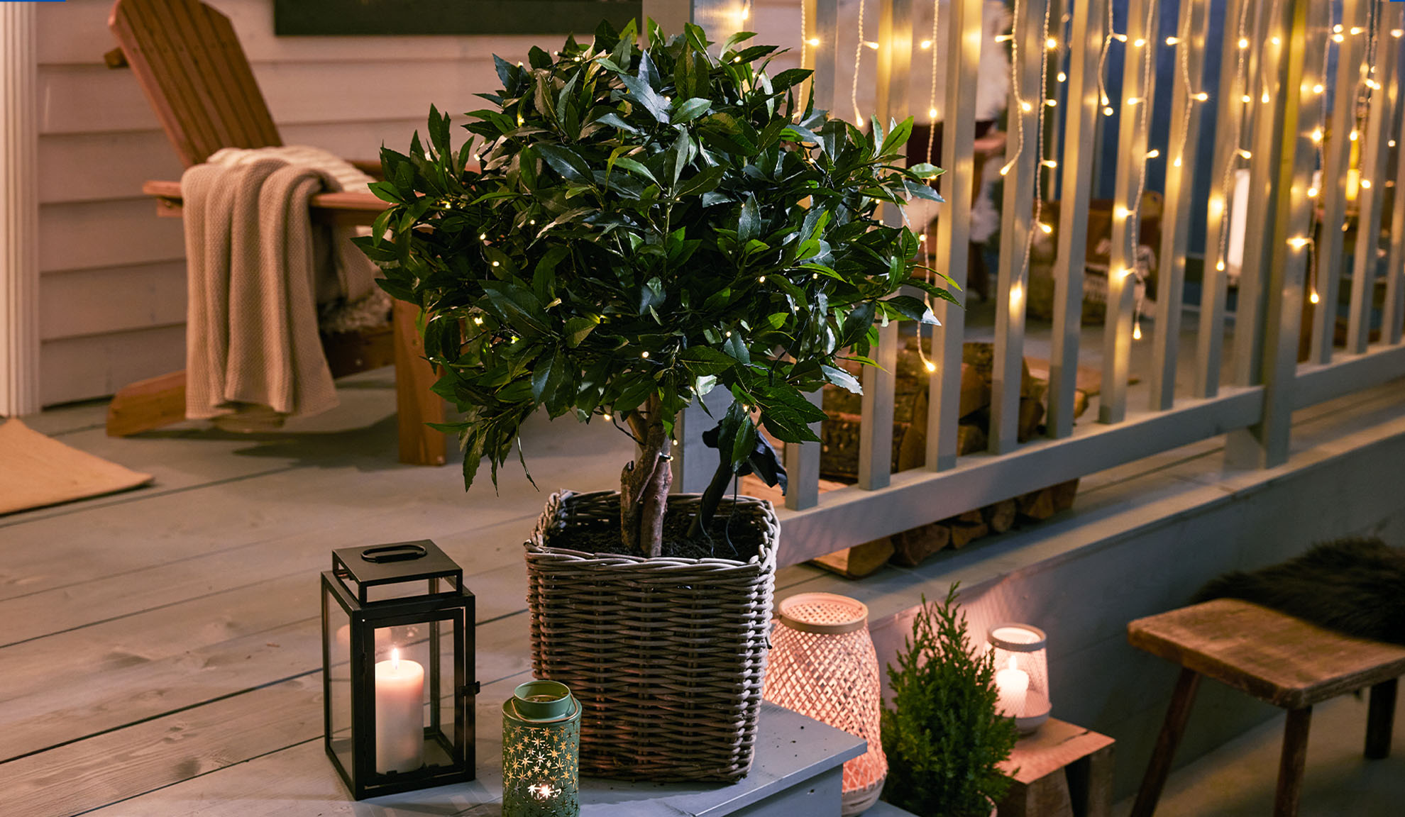 Potted plant with fairy lights, lanterns, and candles on a wooden deck.