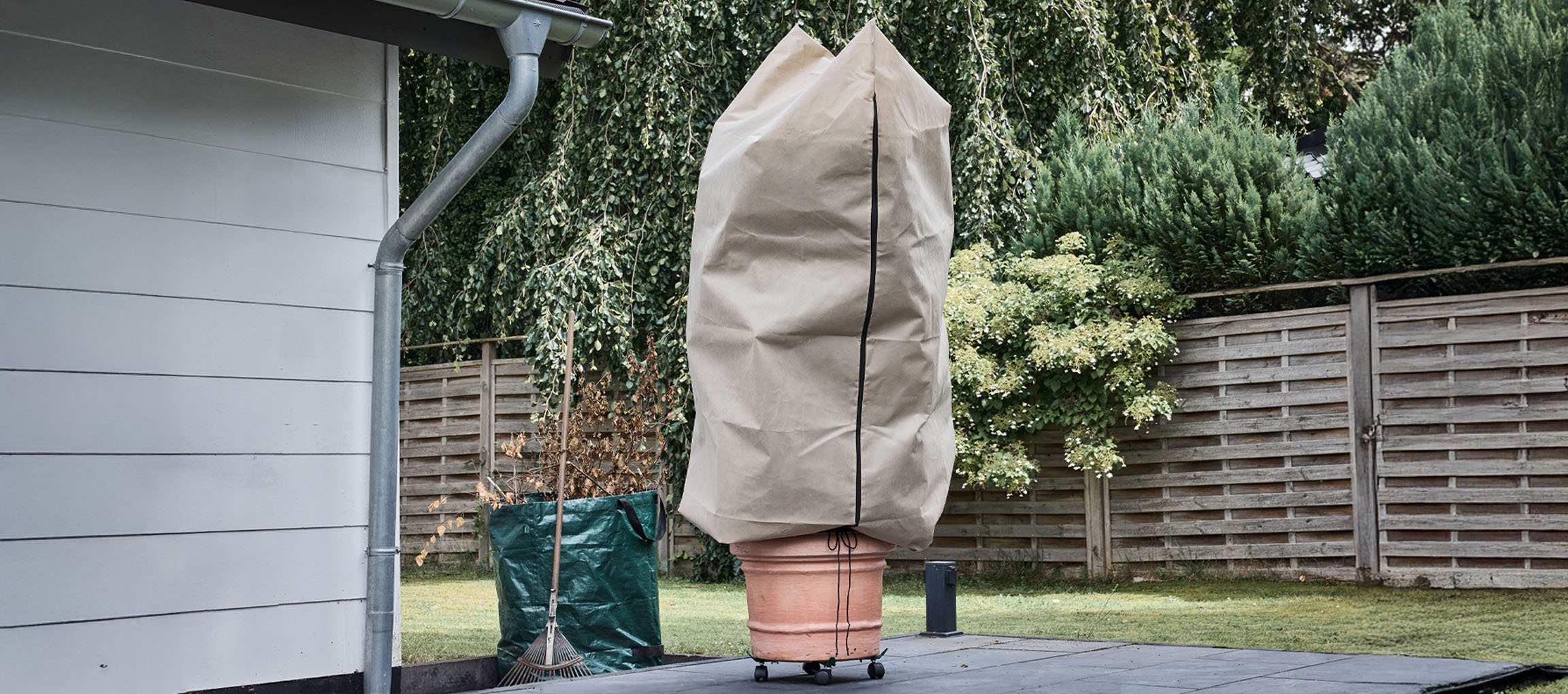 Γλάστρα με κάλυμμα χειμερινής προστασίας σε αίθριο δίπλα σε ένα σπίτι.