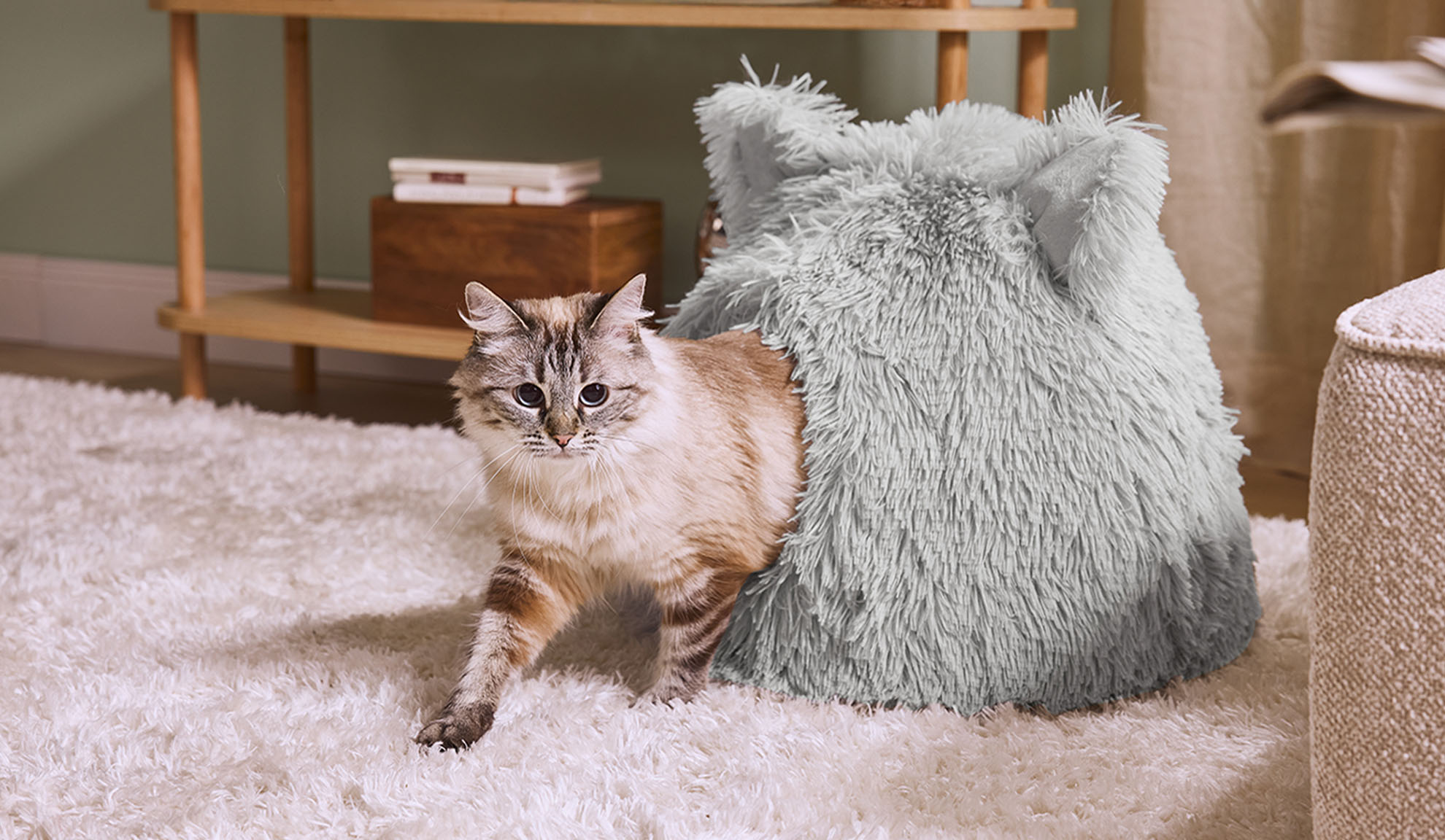 Γάτα που βγαίνει από ένα γκρι χνουδωτό κρεβάτι σε ένα λευκό χαλί.