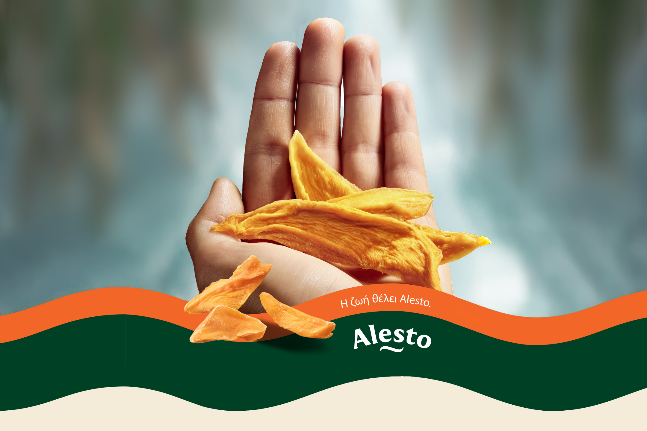 Dried mango slices held in a hand, with a green and orange wavy design.