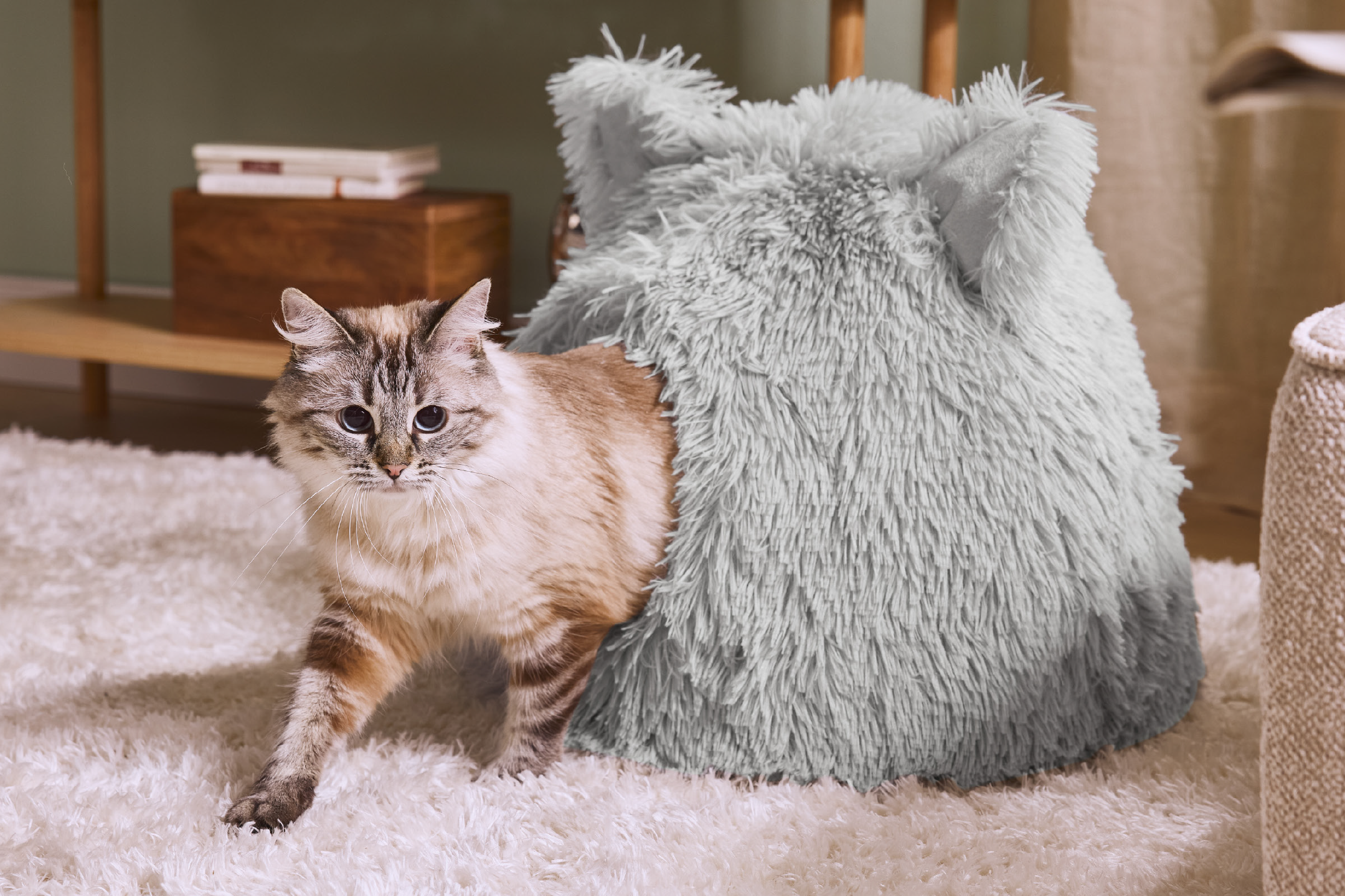 A cat emerging from a fluffy grey cat bed on a white rug.