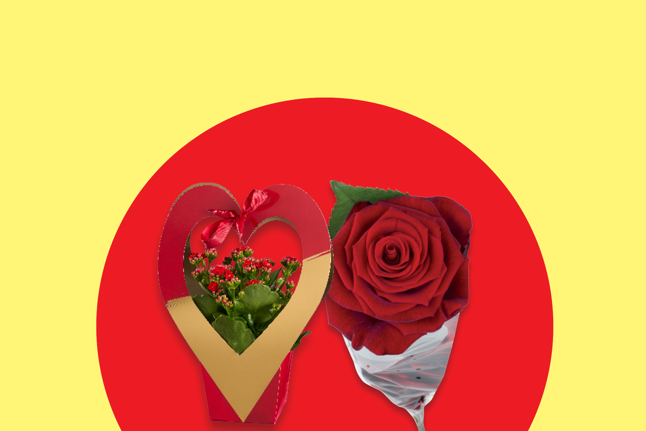 Ένα κουτί δώρου σε σχήμα καρδιάς με κόκκινα λουλούδια και ένα κόκκινο τριαντάφυλλο σε κόκκινο και κίτρινο φόντο.